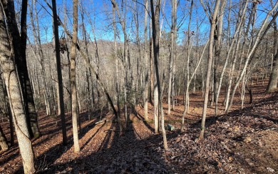 BEAUTIFULLY WOODED TRACT WITH SEASONAL LAKE VIEWS IN THE NORTH - Lake Lot For Sale in Hayesville, North Carolina