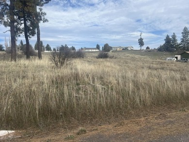 2 contiguous lots in Oregon Shores 2, approx .56 total acres - photo 1