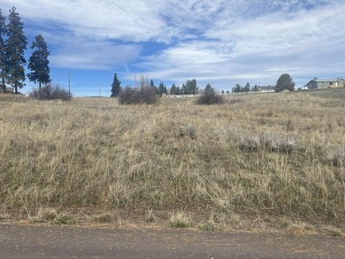 2 contiguous lots in Oregon Shores 2, approx .56 total acres - photo 2