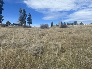 2 contiguous lots in Oregon Shores 2, approx .56 total acres - photo 3