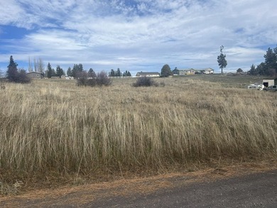 2 contiguous lots in Oregon Shores 2, approx .56 total acres - photo 4