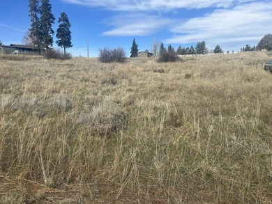 2 contiguous lots in Oregon Shores 2, approx .56 total acres - photo 6
