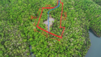 Lake Cumberland Lot For Sale in Monticello Kentucky