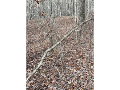 Unrestricted Lake Cumberland Lot - photo 5