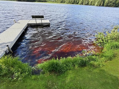 Only a 10-minute boat ride to Hodag Park! This beautiful 3+ - photo 4