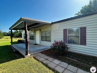 (private lake, pond, coastal) Home For Sale in Hooks Texas