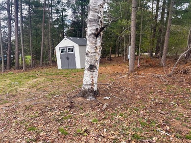 Improved mainland access plus your own private Northwoods - photo 7