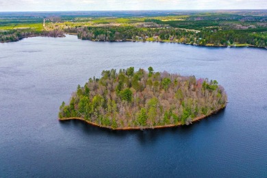 Improved mainland access plus your own private Northwoods - photo 9