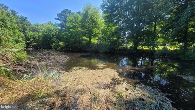 They aren't making any more land so come grab this hard-to-find - photo 7
