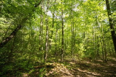 Mullett Lake Lot For Sale in Topinabee Michigan