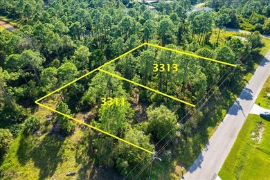 Lehigh Acres Area Lot For Sale in Lehigh Acres Florida