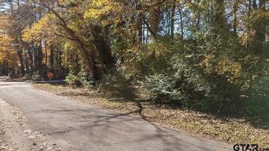 Lake Lot For Sale in Bullard, Texas