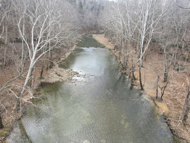 Unrestricted Lake Cumberland Lot - photo 10