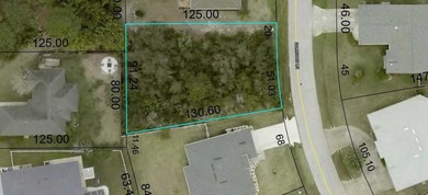 Nice HIGH and dry lot located in desirable F section of Palm - photo 1