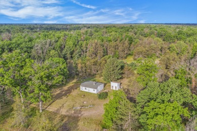 84 acre hunting retreat just south of Big Star Lake! - Lake Acreage For Sale in Bitely, Michigan