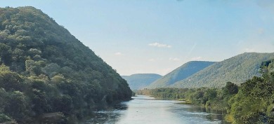 Susquehanna River - Clinton County Acreage For Sale in North Bend Pennsylvania