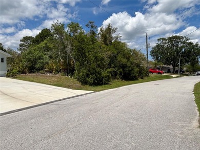 Nice HIGH and dry lot located in desirable F section of Palm - photo 2