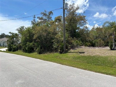Nice HIGH and dry lot located in desirable F section of Palm - photo 3