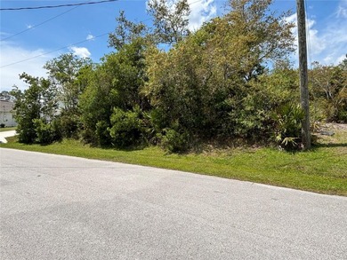 Nice HIGH and dry lot located in desirable F section of Palm - photo 4