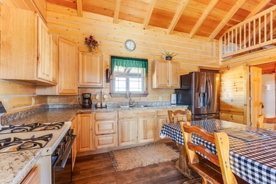 Welcome to your haven on 35.53 acres of fully fenced horse - photo 6