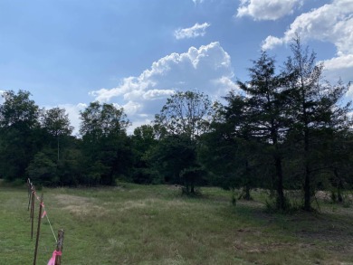 Greers Ferry Lake Acreage For Sale in Clinton Arkansas