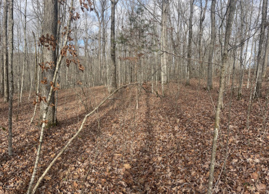 Unrestricted Lake Cumberland Lot - photo 6
