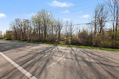 Don't miss this rare opportunity to create your dream home on a - photo 4
