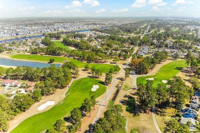 Charming Condo with Golf Course Views - Just Minutes to the - photo 25