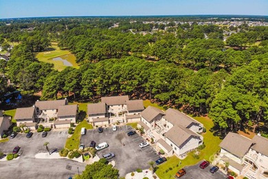 Charming Condo with Golf Course Views - Just Minutes to the - photo 28
