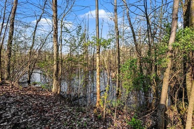 Don't miss this rare opportunity to create your dream home on a - photo 9