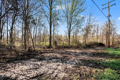 Don't miss this rare opportunity to create your dream home on a - photo 10