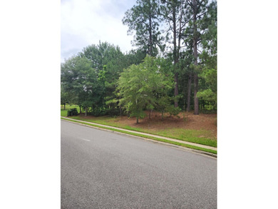 Wonderful lot on fairway of The Reserve course. Build your dream - photo 2