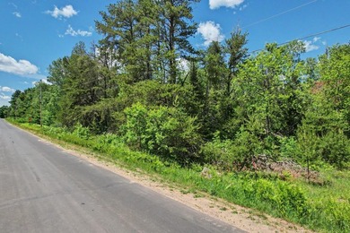 EAGLE RIVER CHAIN - 100' wide WI RIVER PARCEL! Enjoy premier - photo 2
