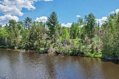 EAGLE RIVER CHAIN - 100' wide WI RIVER PARCEL! Enjoy premier - photo 3