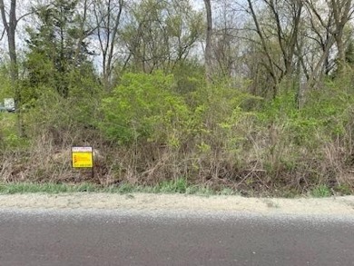 Lake Lot For Sale in Brooklyn, Michigan