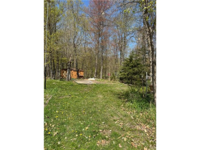 Lake Lot Sale Pending in Hazelton Twp, Minnesota