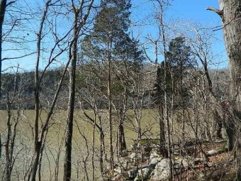 Lake Cumberland Lot For Sale in Burnside Kentucky