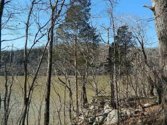 Lake Lot Off Market in Burnside, Kentucky