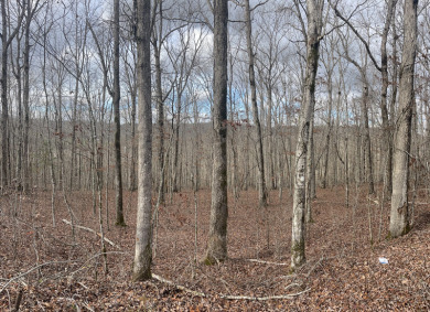 Unrestricted Lake Cumberland Lot - photo 2