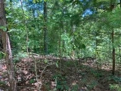 Lake Lot For Sale in Ranger, Georgia