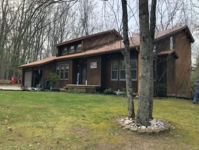 Hess Lake Home For Sale in Grant Michigan