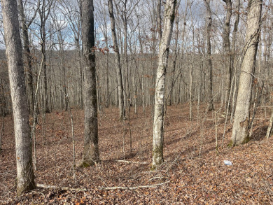 Unrestricted Lake Cumberland Lot - photo 7