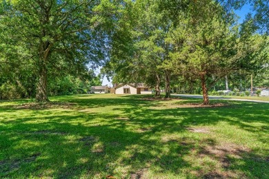 Rare opportunity to own over 2 acres east of Business 17, just - photo 7