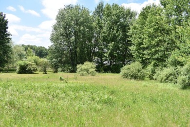 Lake Lot For Sale in Fremont, Michigan