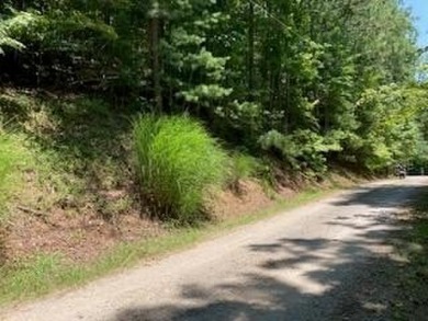 Lake Lot For Sale in Ranger, Georgia