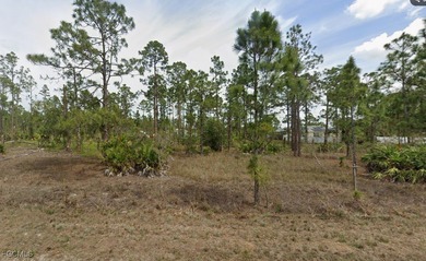 Lehigh Acres Area Lot For Sale in Lehigh Acres Florida