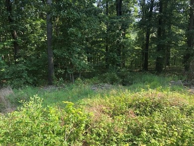 Lake Ann Lot For Sale in Bella Vista Arkansas