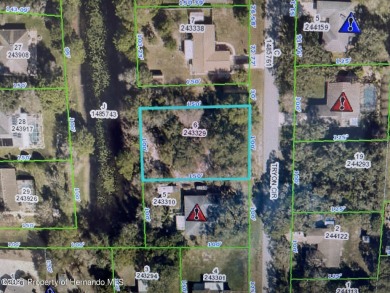 (private lake) Lot Sale Pending in Spring Hill Florida