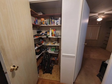 Are you looking for a spacious home? This double-wide mobile - photo 29