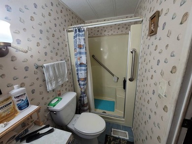 Are you looking for a spacious home? This double-wide mobile - photo 34